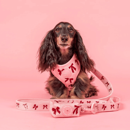 Pablo & Co Velvet Blush Bows Poop Bag Holder