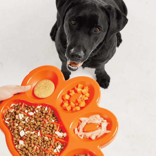 PAW Slow Feeder & Lick Pad Dog Bowl