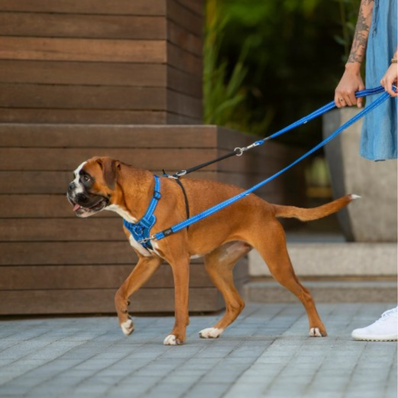 Rogz Utility Control Dog Harness Buy Online at DOGUE