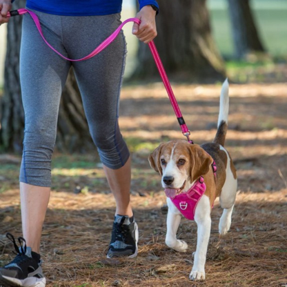 Rogz Utility Control Dog Harness