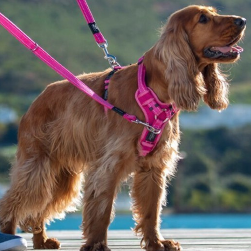 Rogz Utility Control Dog Harness