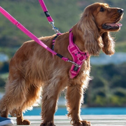 Rogz Utility Control Dog Harness