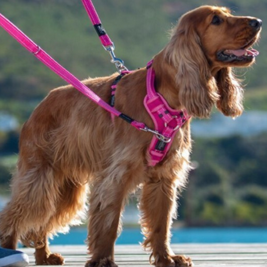 Rogz Utility Control Dog Harness