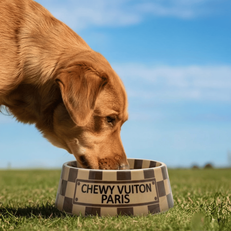 Romiet Chewy Vuiton Brown Dog Bowl