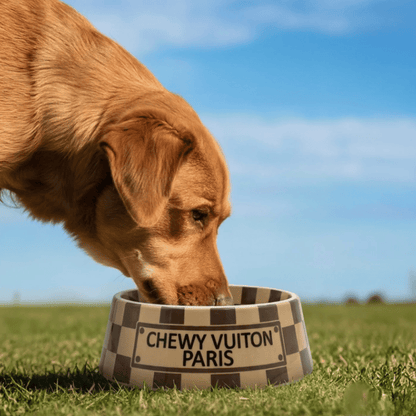 Romiet Chewy Vuiton Brown Dog Bowl