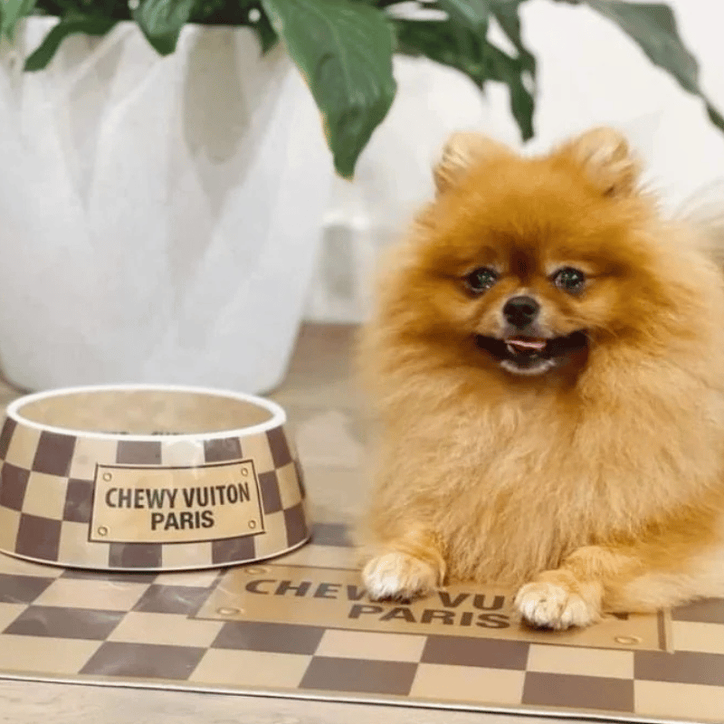 Romiet Chewy Vuiton Brown Dog Bowl