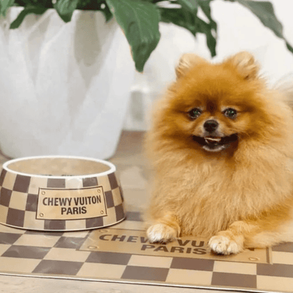 Romiet Chewy Vuiton Brown Dog Bowl