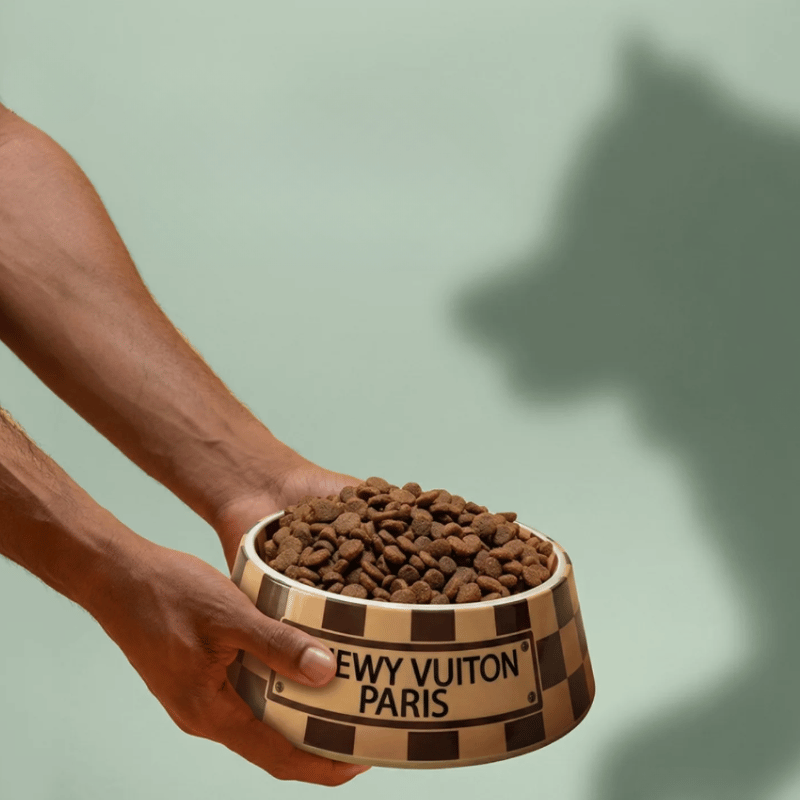 Romiet Chewy Vuiton Brown Dog Bowl