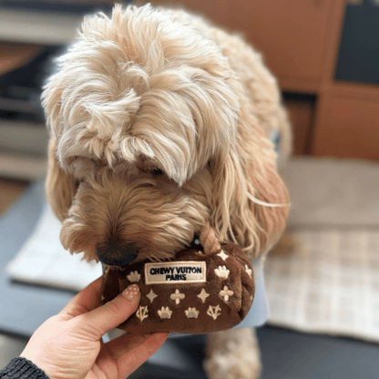 Romiet Chewy Vuiton Brown Handbag Dog Toy