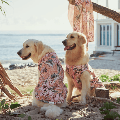 Sandy Snoots Wildflower Dog Rashie