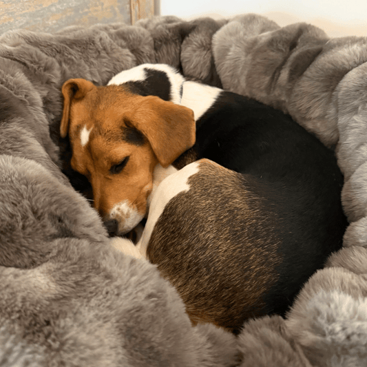 Snooza Luxe Bubble Fur Dog Bed