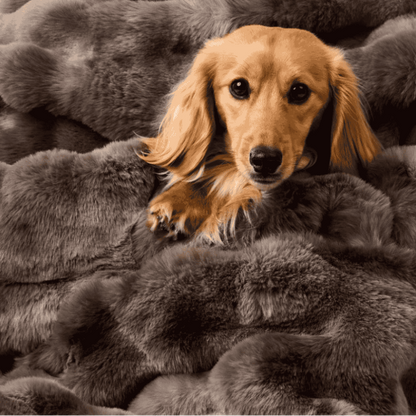 Snooza Luxe Bubble Fur Dog Blanket