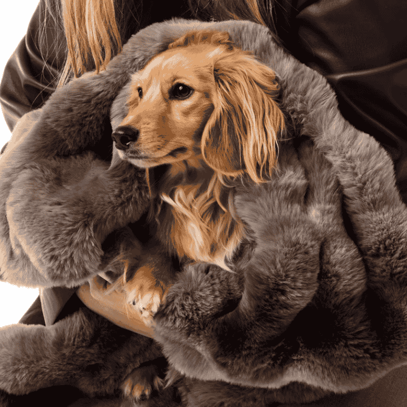 Snooza Luxe Bubble Fur Dog Blanket