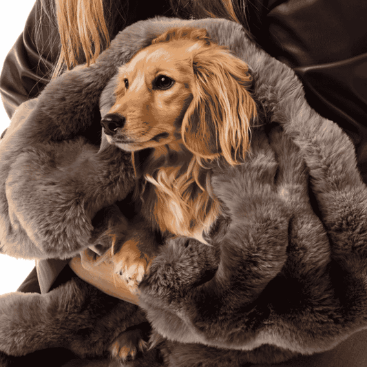 Snooza Luxe Bubble Fur Dog Blanket