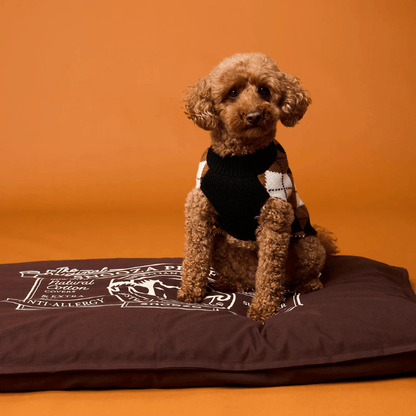 Snooza Spring Futon Dog Bed Chocolate