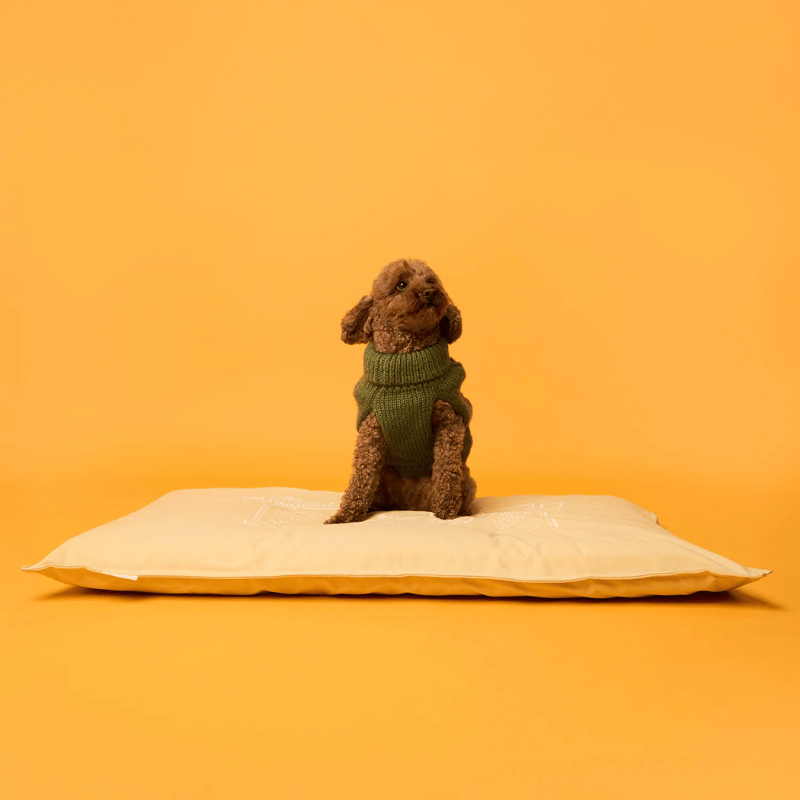 Snooza Spring Futon Dog Bed Lemon
