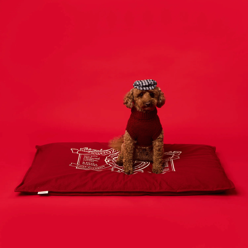Snooza Spring Futon Dog Bed Rust