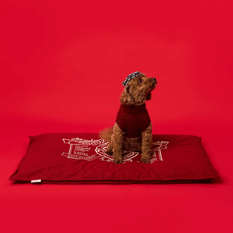 Snooza Spring Futon Dog Bed Rust