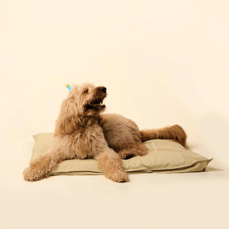 Snooza Spring Futon Dog Bed Tan