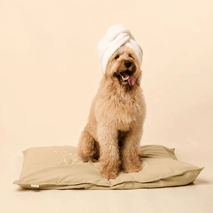Snooza Spring Futon Dog Bed Tan