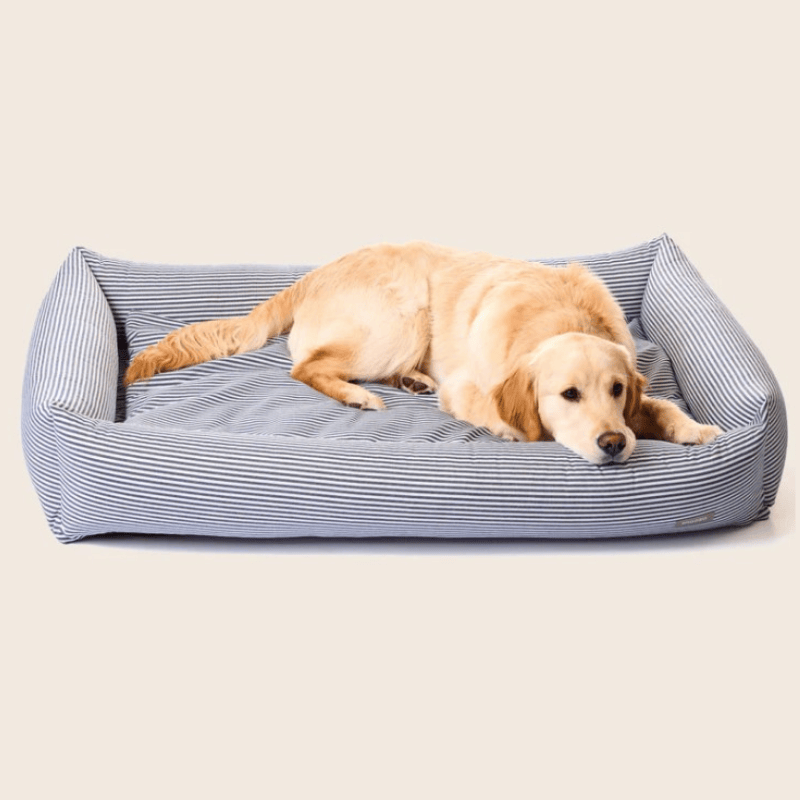 Snooza The Nest Dog Bed Chambray Stripe | Buy Online at DOGUE