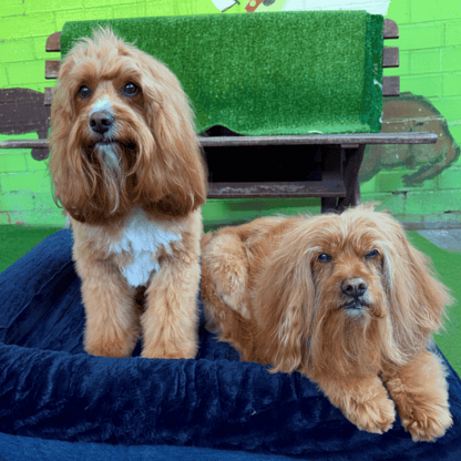 Snuggle Pals Supreme Lounge Dog Bed Deep Blue