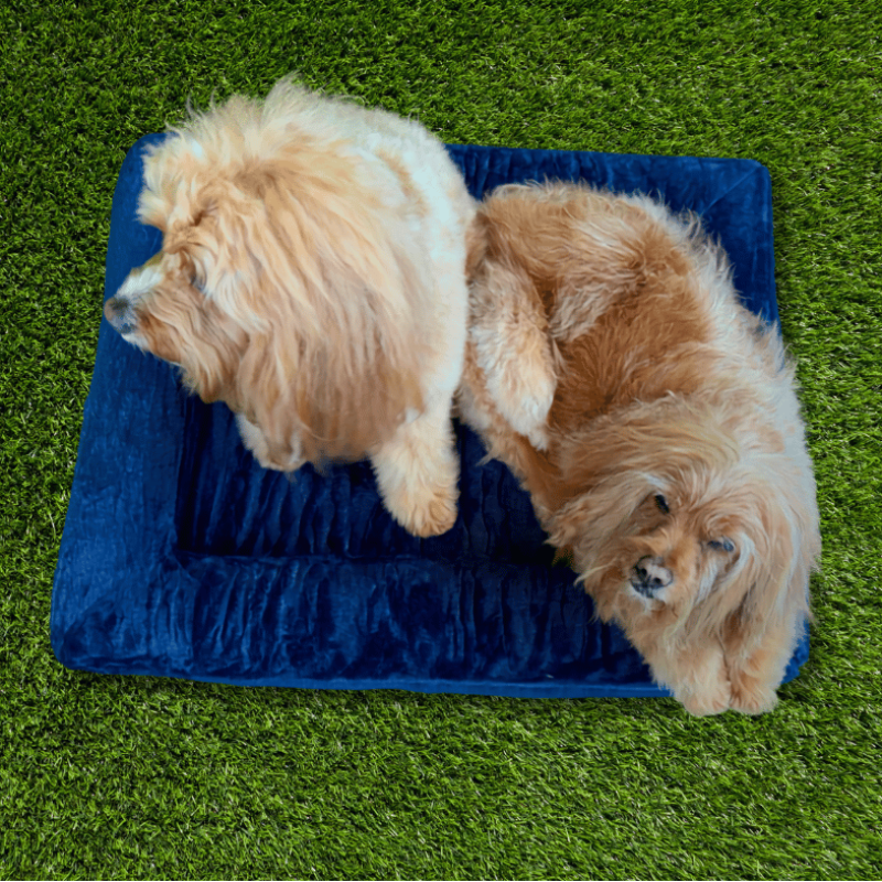 Snuggle Pals Supreme Lounge Dog Bed Deep Blue