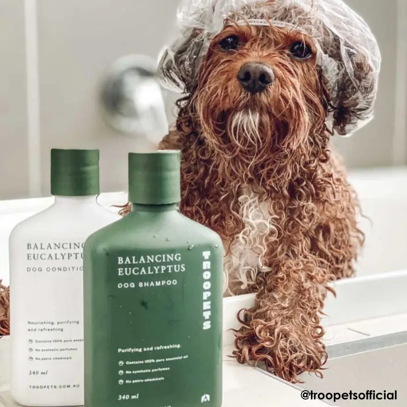 Buy clearance dog shampoo