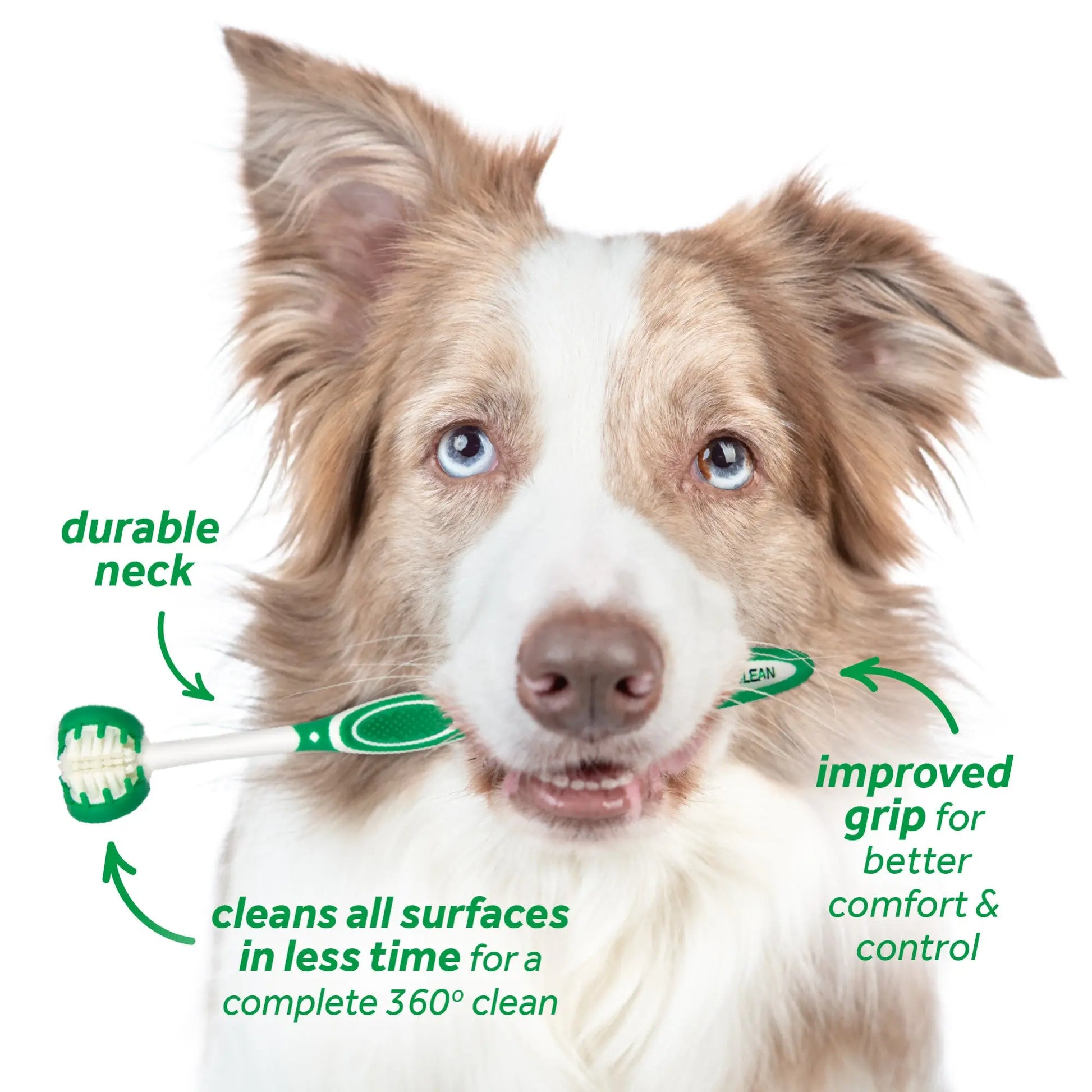 TROPICLEAN Fresh Breath Oral Care Dog Dental Kit | Buy Online at DOGUE Australia