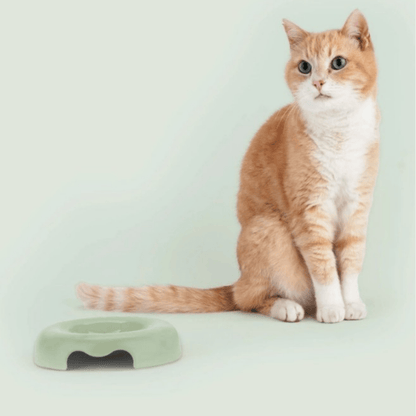 United Pets Kitty Cat Bowl Green