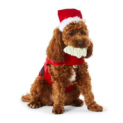 Wagalot Woofy Christmas Tree Dog Treat 2-pack