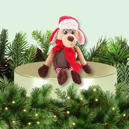 Winter Holiday Dog Toy