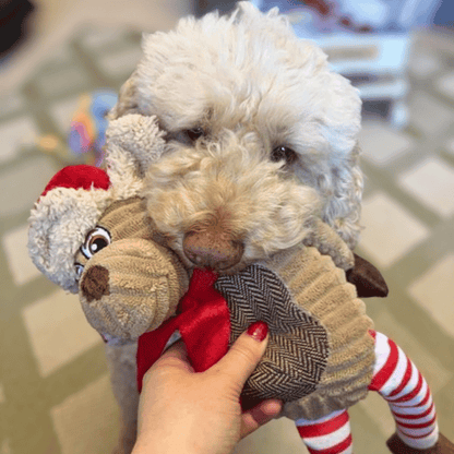 Winter Holiday Dog Toy