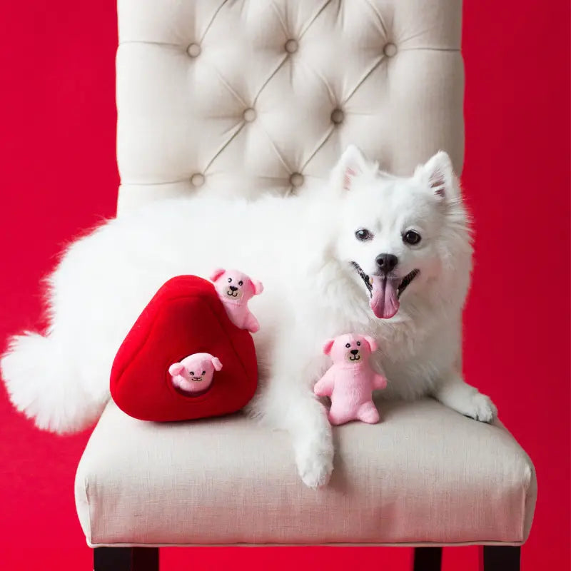 ZippyPaws Burrow Heart n' Bears Dog Toy | Buy Online at DOGUE Australia