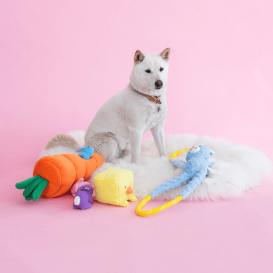 ZippyPaws Burrow Easter Carrot Dog Toy