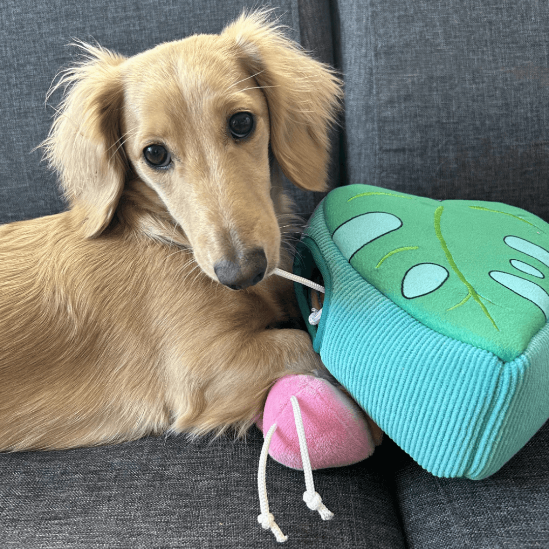 ZippyPaws Burrow Flamingo in Monstera Dog Toy - DOGUE