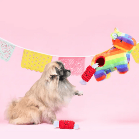ZippyPaws Burrow Pinata Dog Toy