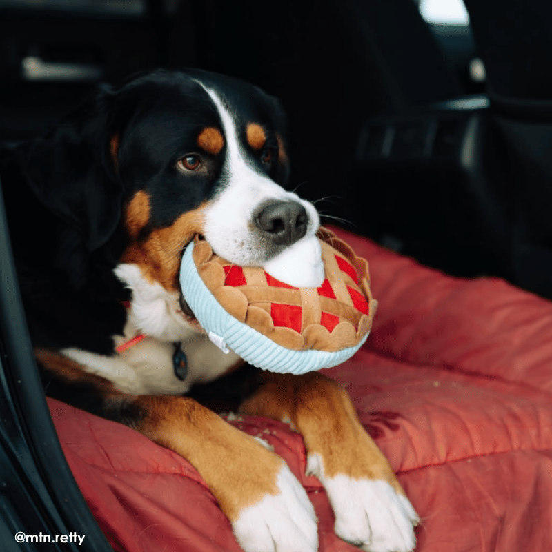 ZippyPaws Cherry Pie Dog Toy