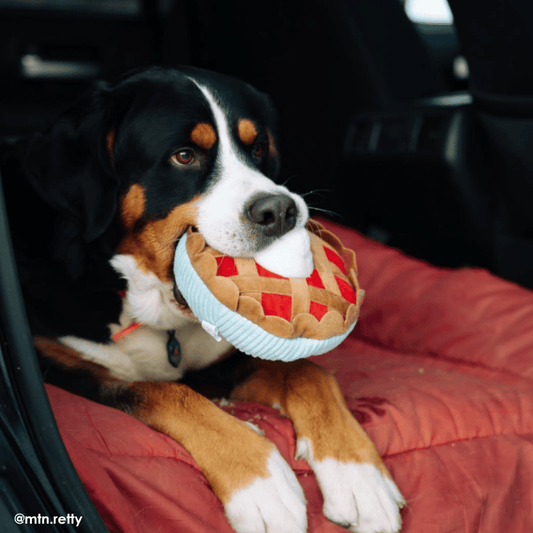 ZippyPaws Cherry Pie Dog Toy
