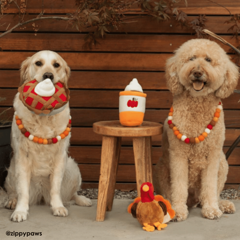 ZippyPaws Cherry Pie Dog Toy