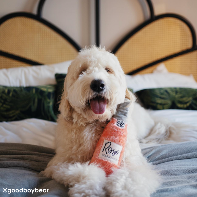 ZippyPaws Happy Hour Plush Crusherz Dog Toy Buy Online at DOGUE