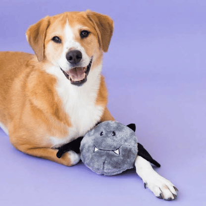 ZippyPaw Halloween Brainey Bat Dog Toy