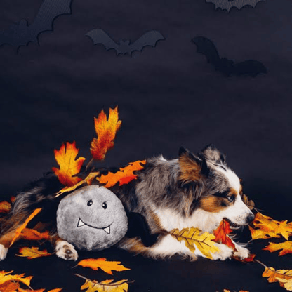 ZippyPaw Halloween Brainey Bat Dog Toy