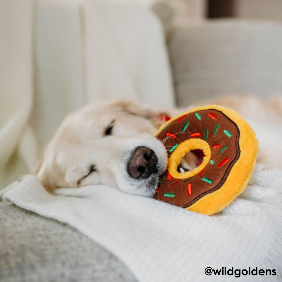 ZippyPaws Holiday Donutz Gingerbread Dog Toy
