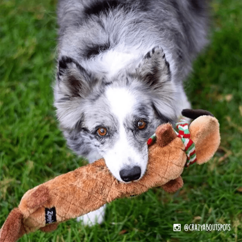 ZippyPaws Holiday Jigglerz Reindeer Dog Toy