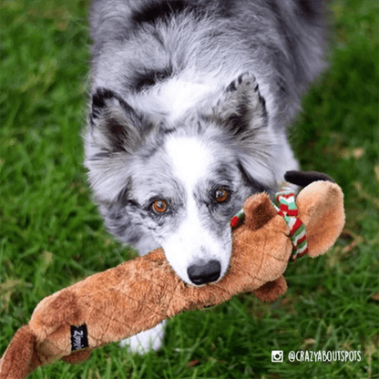ZippyPaws Holiday Jigglerz Reindeer Dog Toy