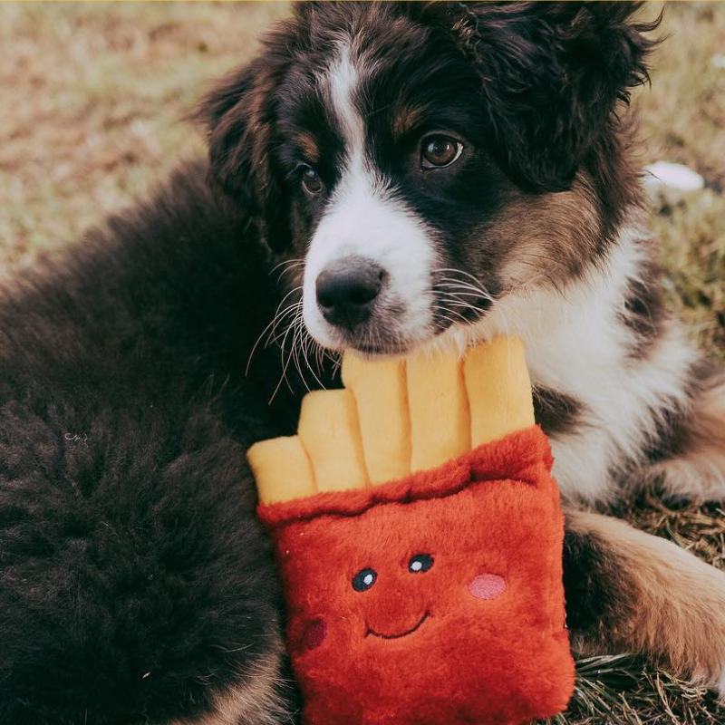ZippyPaws NomNomz Fries Dog Toy - DOGUE
