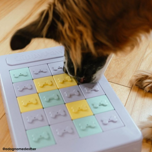 ZippyPaws SmartyPaws Puzzler Panel Sliders Dog Toy