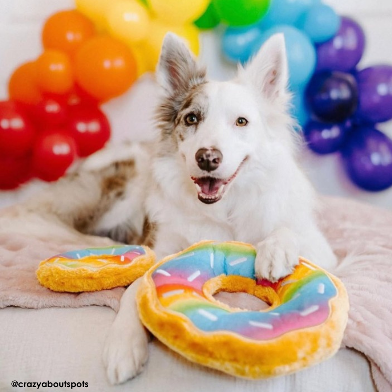 ZippyPaws Rainbow Donutz Dog Toy - DOGUE