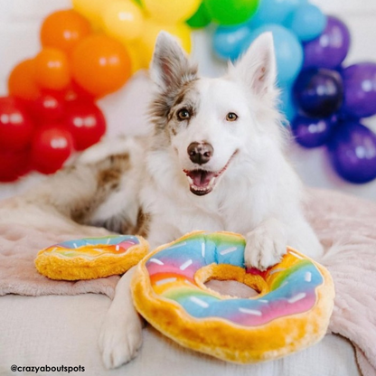 ZippyPaws Rainbow Donutz Dog Toy - DOGUE